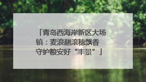 青岛西海岸新区大场镇：麦浪翻滚穗飘香 守护粮安好“丰景”