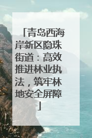 青岛西海岸新区隐珠街道：高效推进林业执法，筑牢林地安全屏障