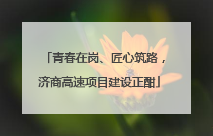 青春在岗、匠心筑路，济商高速项目建设正酣