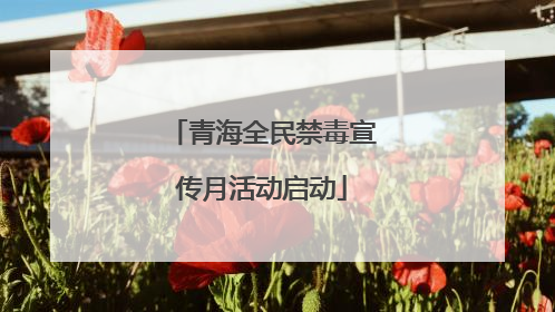 青海全民禁毒宣传月活动启动