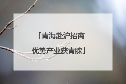 青海赴沪招商 优势产业获青睐