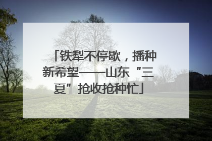铁犁不停歇，播种新希望——山东“三夏”抢收抢种忙