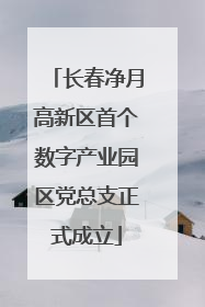 长春净月高新区首个数字产业园区党总支正式成立