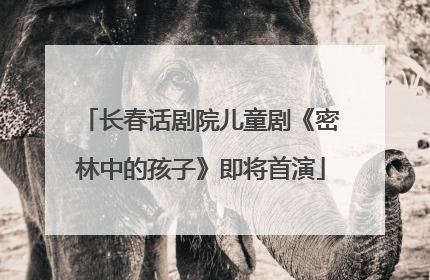 长春话剧院儿童剧《密林中的孩子》即将首演