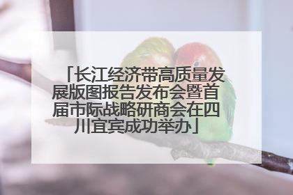 长江经济带高质量发展版图报告发布会暨首届市际战略研商会在四川宜宾成功举办