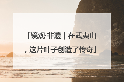 镜观·非遗｜在武夷山，这片叶子创造了传奇