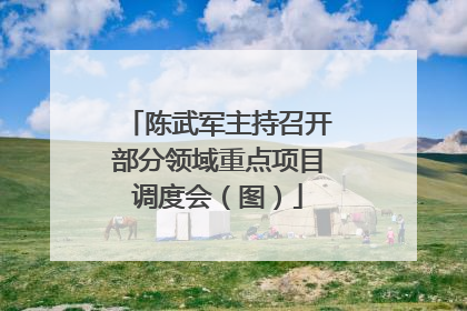 陈武军主持召开部分领域重点项目调度会（图）