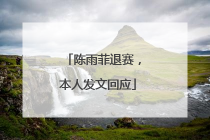 陈雨菲退赛，本人发文回应