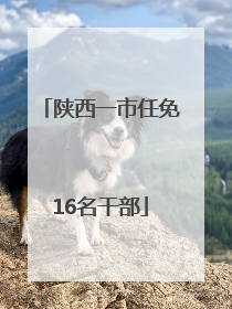 陕西一市任免16名干部