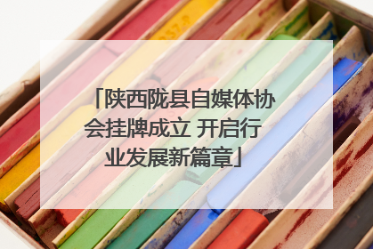 陕西陇县自媒体协会挂牌成立 开启行业发展新篇章