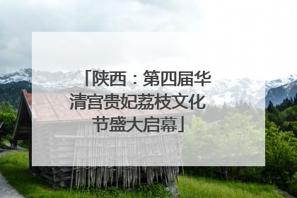 陕西：第四届华清宫贵妃荔枝文化节盛大启幕