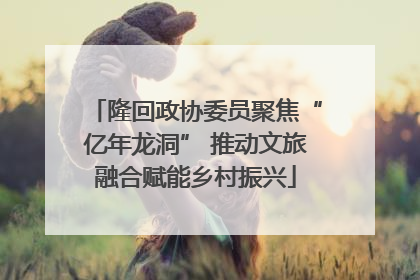 隆回政协委员聚焦“亿年龙洞” 推动文旅融合赋能乡村振兴