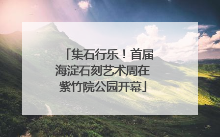 集石行乐！首届海淀石刻艺术周在紫竹院公园开幕