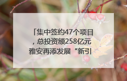 集中签约47个项目，总投资额258亿元 雅安再添发展“新引擎”｜数读西投