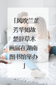 风吹兰芷 芳华如故 楚辞草木画展在湖南图书馆举办