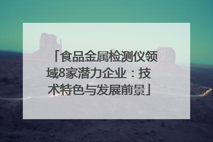 食品金属检测仪领域8家潜力企业：技术特色与发展前景