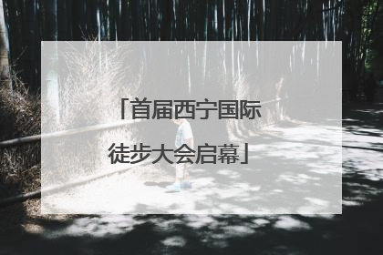 首届西宁国际徒步大会启幕