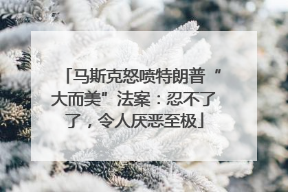 马斯克怒喷特朗普“大而美”法案：忍不了了，令人厌恶至极