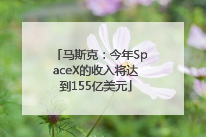 马斯克：今年SpaceX的收入将达到155亿美元