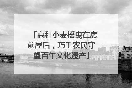 高秆小麦摇曳在房前屋后，巧手农民守望百年文化遗产