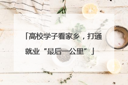 高校学子看家乡，打通就业“最后一公里”