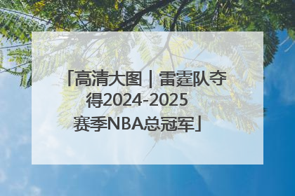 高清大图｜雷霆队夺得2024-2025赛季NBA总冠军