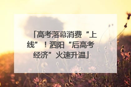 高考落幕消费“上线”！泗阳“后高考经济”火速升温