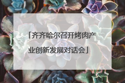 齐齐哈尔召开烤肉产业创新发展对话会