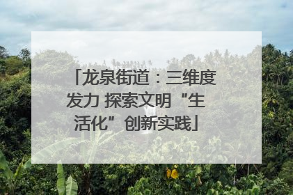 龙泉街道：三维度发力 探索文明“生活化”创新实践