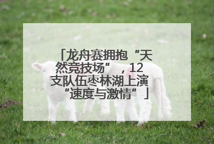 龙舟赛拥抱“天然竞技场”，12支队伍枣林湖上演“速度与激情”