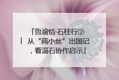 鲁渝情·石柱行② ︳从“莼小丝”出国记，看淄石协作启示