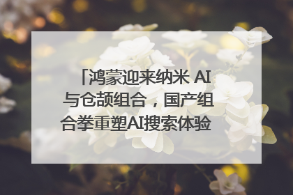 鸿蒙迎来纳米 AI 与仓颉组合，国产组合拳重塑AI搜索体验｜新经济观察