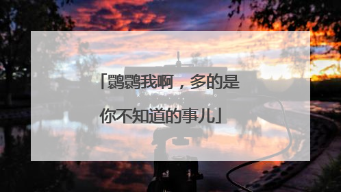 鹮鹮我啊，多的是你不知道的事儿