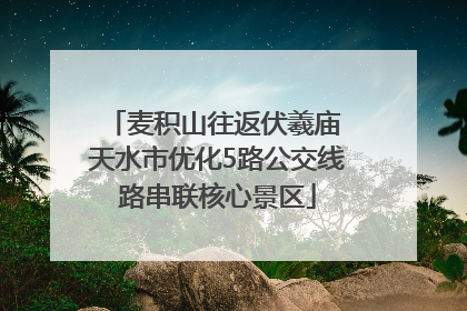 麦积山往返伏羲庙 天水市优化5路公交线路串联核心景区