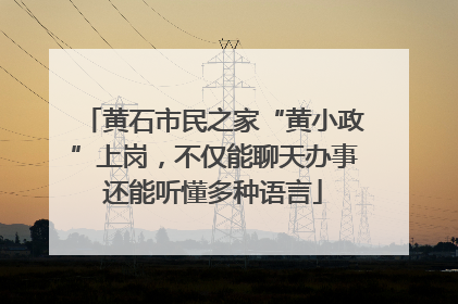 黄石市民之家“黄小政”上岗，不仅能聊天办事还能听懂多种语言