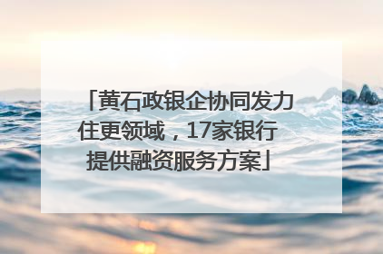 黄石政银企协同发力住更领域，17家银行提供融资服务方案