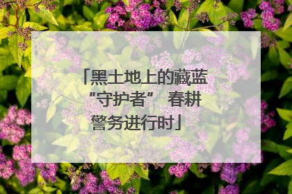 黑土地上的藏蓝“守护者” 春耕警务进行时