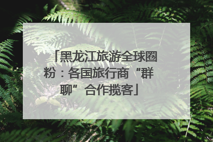 黑龙江旅游全球圈粉：各国旅行商“群聊”合作揽客