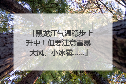 黑龙江气温稳步上升中！但要注意雷暴大风、小冰雹……