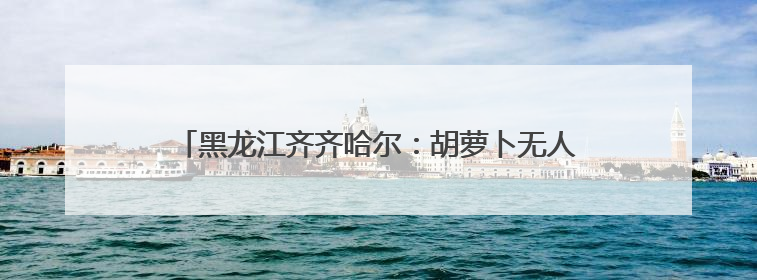 黑龙江齐齐哈尔：胡萝卜无人化种植破解劳动力短缺难题
