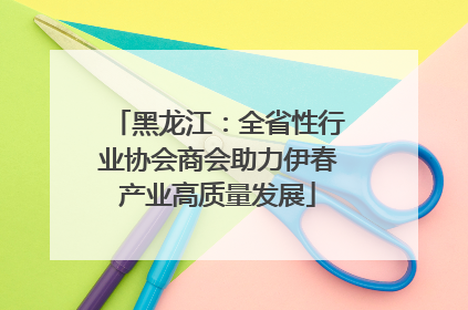 黑龙江：全省性行业协会商会助力伊春产业高质量发展