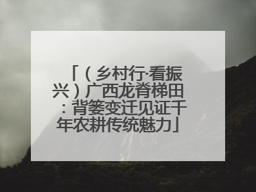 （乡村行·看振兴）广西龙脊梯田：背篓变迁见证千年农耕传统魅力