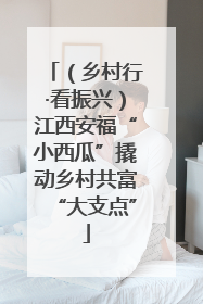 （乡村行·看振兴）江西安福“小西瓜”撬动乡村共富“大支点”