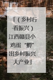 （乡村行·看振兴）江西赣县小鸡蛋“孵”出乡村振兴大产业