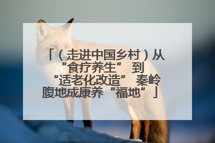 （走进中国乡村）从 “食疗养生” 到 “适老化改造” 秦岭腹地成康养“福地”