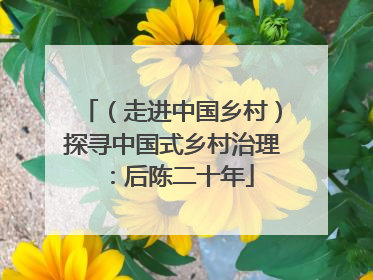 （走进中国乡村）探寻中国式乡村治理：后陈二十年