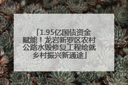 1.95亿国债资金赋能！龙岩新罗区农村公路水毁修复工程绘就乡村振兴新通途