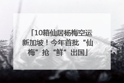10箱仙居杨梅空运新加坡！今年首批“仙梅”抢“鲜”出国