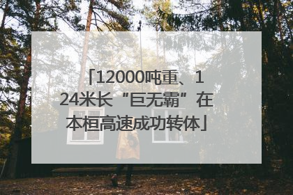 12000吨重、124米长“巨无霸”在本桓高速成功转体