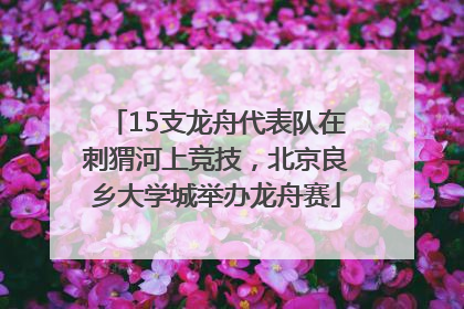 15支龙舟代表队在刺猬河上竞技，北京良乡大学城举办龙舟赛